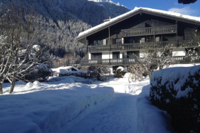 Beautiful T2 with balcony near track Chamonix-Mont-Blanc